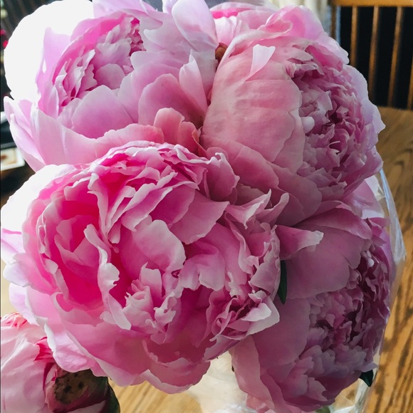 Meet your Posher, Cindy - Picture 1 of 1